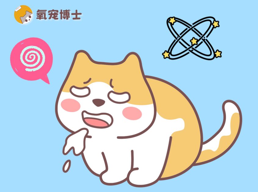 猫咪干呕不吐是怎么回事？常见原因及应对方法