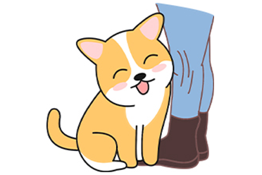 狗狗咬裤腿背后的原因与科学应对方法 狗狗咬裤腿背后的原因与科学应对方法