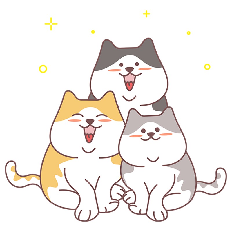 如何培养一只社交能力强的猫咪 如何培养一只社交能力强的猫咪