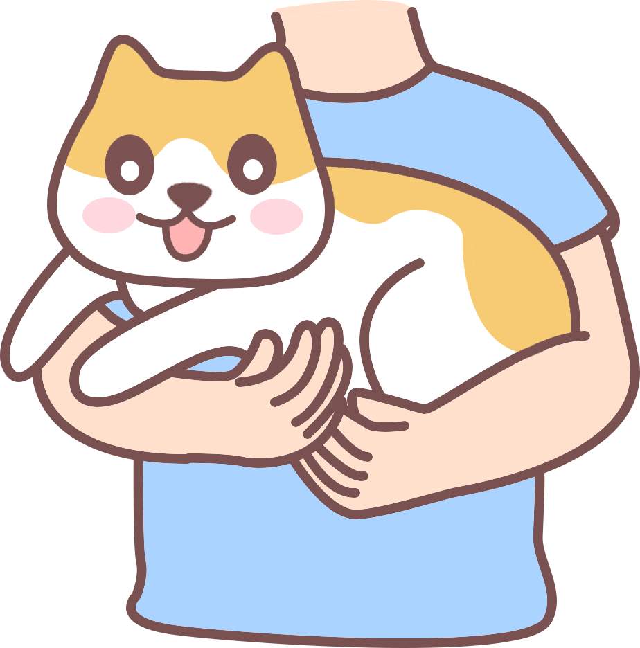 猫咪真的知道你在养它吗?科学揭秘它们的认主方式 猫咪真的知道你在养它吗?科学揭秘它们的认主方式