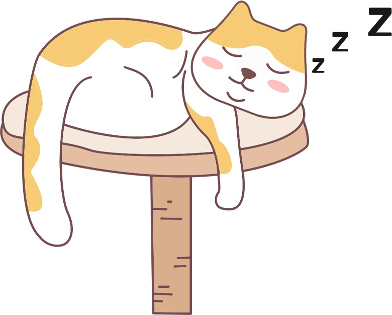 猫咪真的知道你在养它吗?科学揭秘它们的认主方式 猫咪真的知道你在养它吗?科学揭秘它们的认主方式