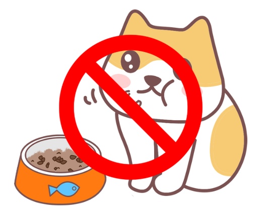 猫咪肝功能不好饮食指南，推荐食物和禁食清单