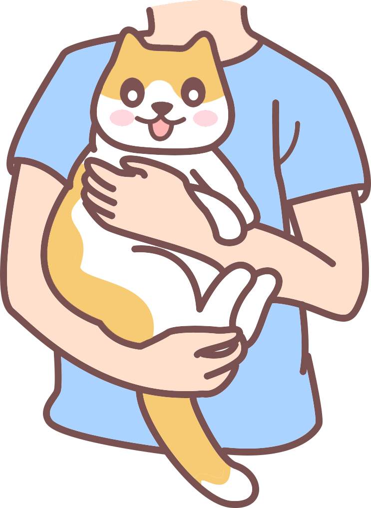 猫咪老年痴呆对寿命的影响与护理建议