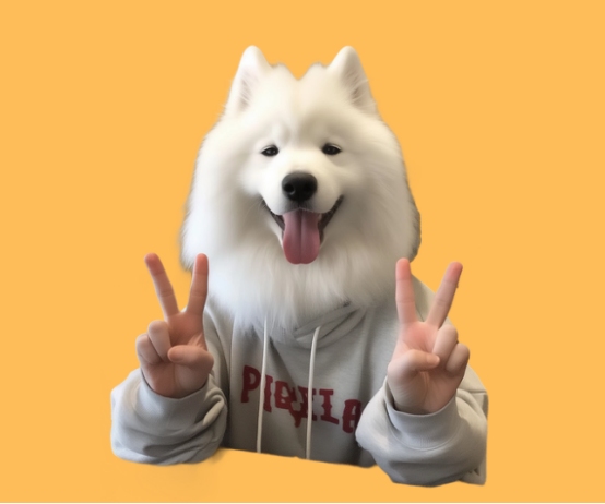 萨摩耶熊版和狼版的区别全解析