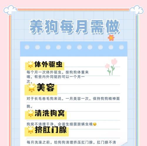 2岁狗狗洗澡频率与护理技巧全解析 2岁狗狗洗澡频率与护理技巧全解析