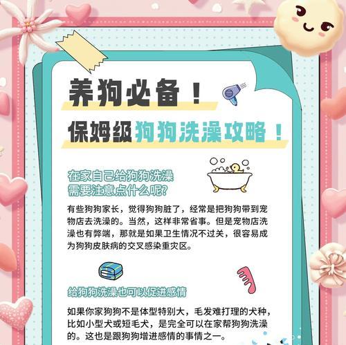 2岁狗狗洗澡频率与护理技巧全解析 2岁狗狗洗澡频率与护理技巧全解析