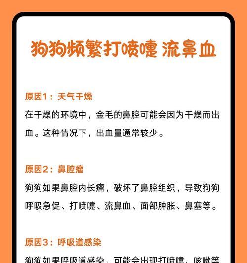 小狗感冒如何治疗与护理，快速恢复健康