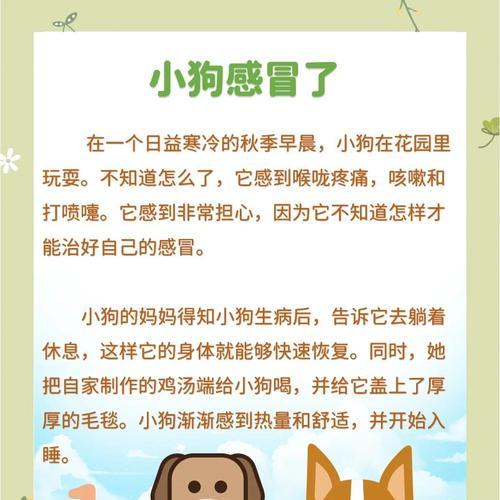 小狗感冒如何治疗与护理，快速恢复健康