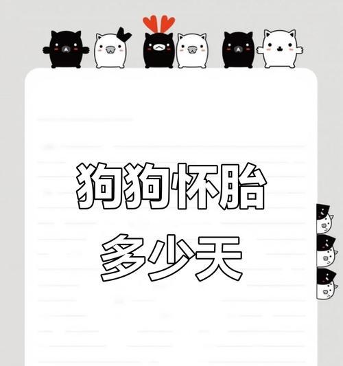 狗受孕后多久生产？全面了解狗的繁殖周期与产仔过程