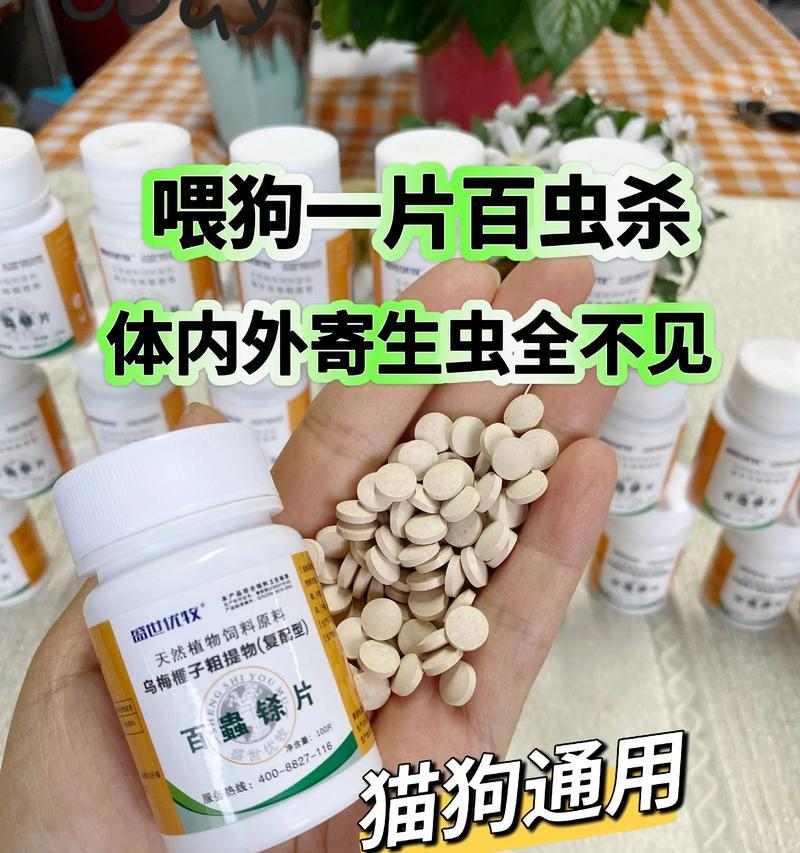 狗驱虫后何时出门最安全? 狗驱虫后何时出门最安全?