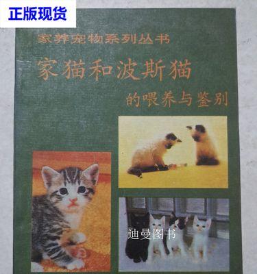 波斯猫饲养全攻略：健康快乐的照顾秘诀