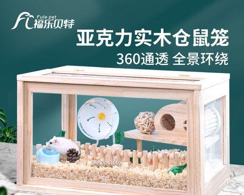 长尾仓鼠饲养全攻略，打造健康幸福的家园