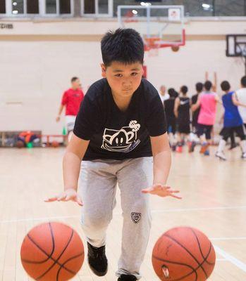 如何训练斗牛犬听从指令，养成良好习惯