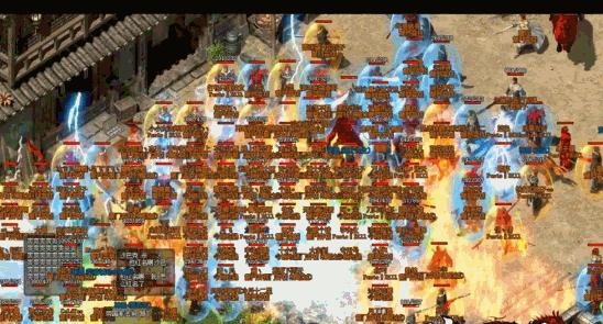 比华伦兔饲养全攻略：健康快乐的饲养技巧