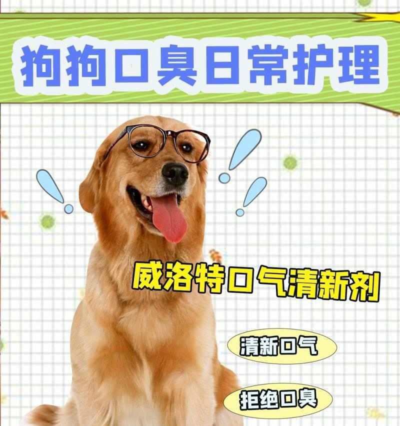 如何有效改善狗狗口臭问题 如何有效改善狗狗口臭问题