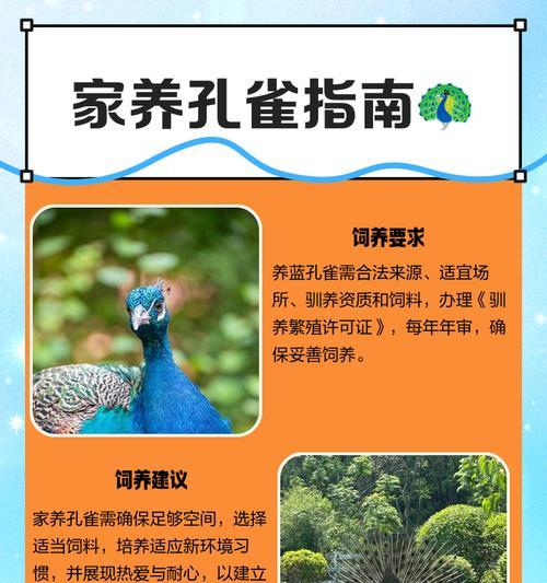 北朱雀饲养全攻略:健康快乐的养护方法 北朱雀饲养全攻略:健康快乐的养护方法