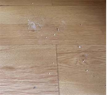 钠基混合猫砂优缺点分析,结团好但带出严重 钠基混合猫砂优缺点分析,结团好但带出严重