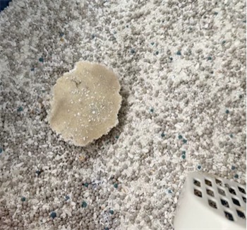 钠基混合猫砂优缺点分析,结团好但带出严重 钠基混合猫砂优缺点分析,结团好但带出严重