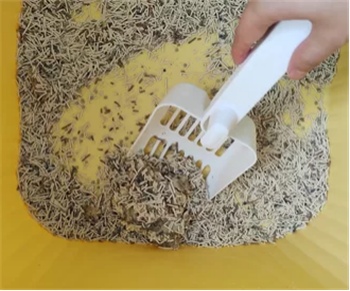 咖啡渣猫砂性价比高?使用体验全解析 咖啡渣猫砂性价比高?使用体验全解析