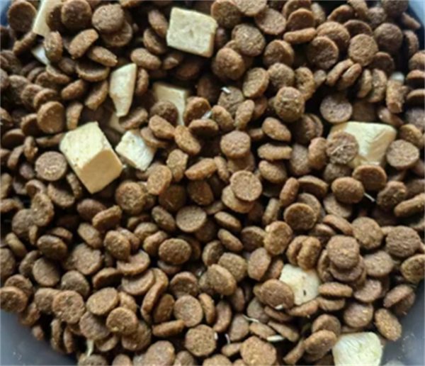 阿飞和巴弟E76猫粮测评:营养适口性俱佳,适合追求高品质的猫咪 阿飞和巴弟E76猫粮测评:营养适口性俱佳,适合追求高品质的猫咪