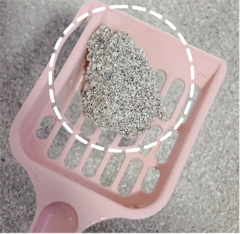 平价猫砂测评：囧宝矿物活性炭性价比高