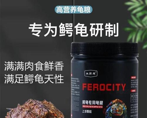 如何科学饲养大鳄龟,打造安全舒适的栖息环境 如何科学饲养大鳄龟,打造安全舒适的栖息环境