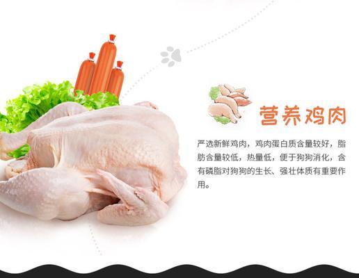 泰迪狗狗肠子堵了的常见症状与应对方法