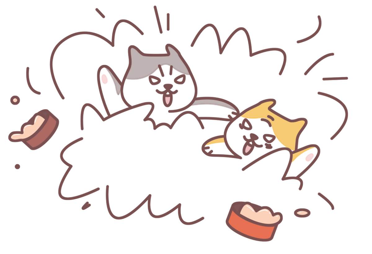 猫咪也会吃醋？这些表现你中了几条