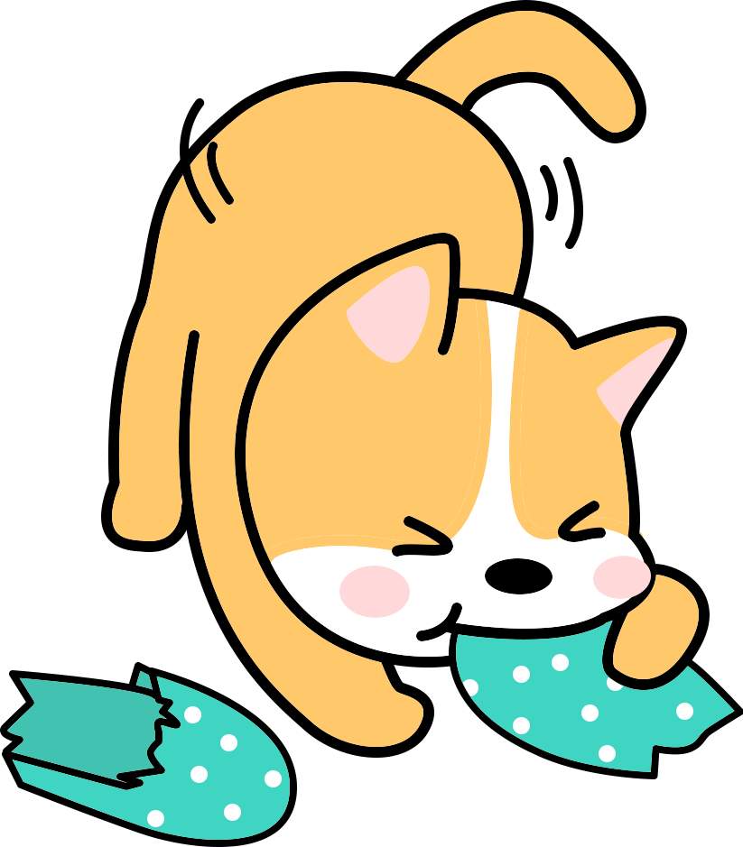 如何用狗狗能理解的方式表达爱意