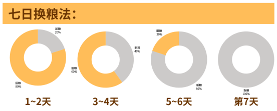 小奶狗到新家软便拉稀怎么办？科学应对方法揭秘