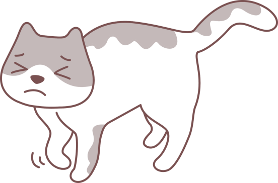 猫咪不让摸爪子？这些原因你必须知道