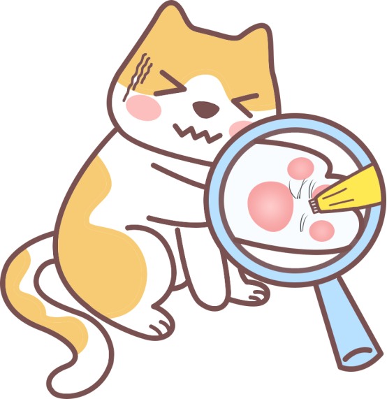 猫咪不让摸爪子？这些原因你必须知道