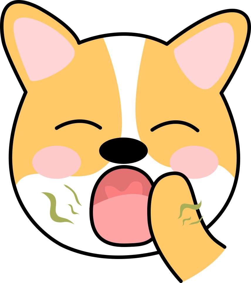 告别狗狗夏天异味困扰的实用方法