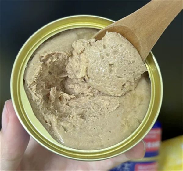 猫咪干粮湿粮怎么选？科学喂养指南