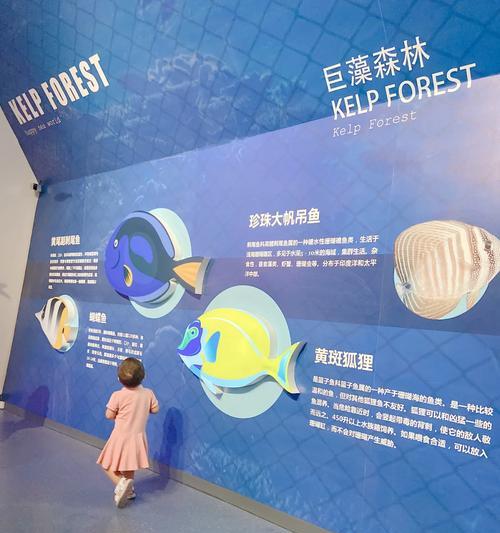 珍珠帆吊饲养指南:如何打造健康活泼的宠物鱼环境 珍珠帆吊饲养指南:如何打造健康活泼的宠物鱼环境