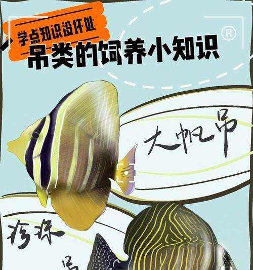 珍珠帆吊饲养指南:如何打造健康活泼的宠物鱼环境 珍珠帆吊饲养指南:如何打造健康活泼的宠物鱼环境