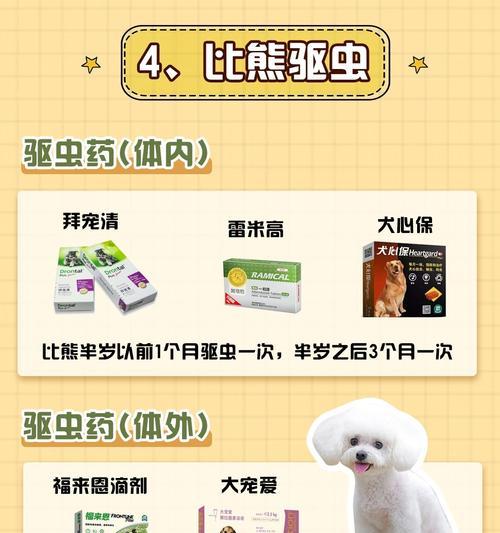 个性化养成法提升与狗狗的亲密关系 个性化养成法提升与狗狗的亲密关系