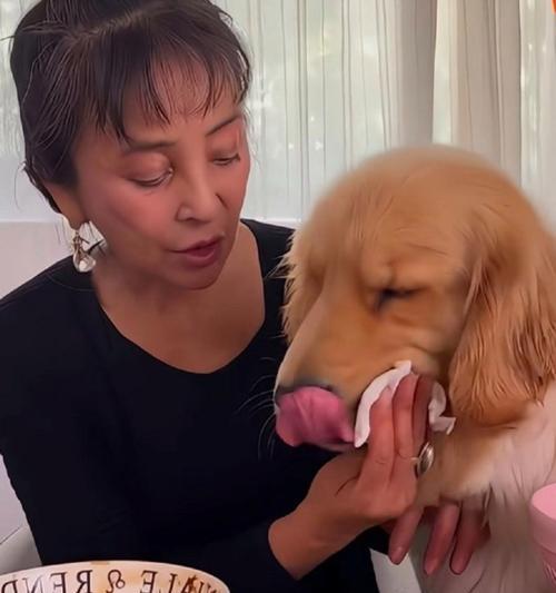 科学养狗:避免溺爱,注重教育与互动 科学养狗:避免溺爱,注重教育与互动