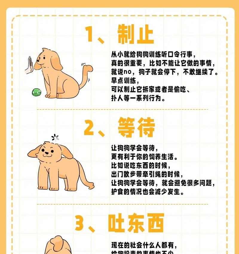 如何训练狗狗拒食他人食物的实用方法