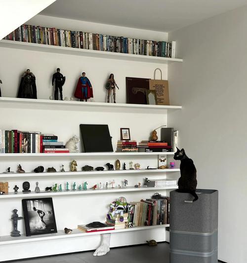 宠物家装指南:打造舒适安全的宠物友好家居 宠物家装指南:打造舒适安全的宠物友好家居