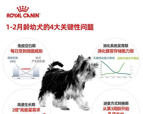 博美幼犬奶糕未泡开的原因及解决方法 博美幼犬奶糕未泡开的原因及解决方法