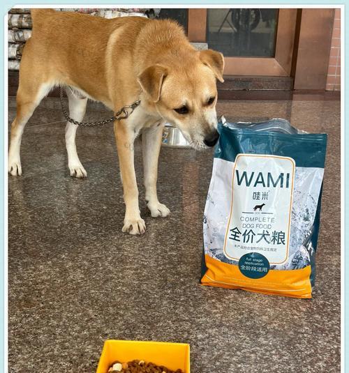 幼犬能否吃成年狗粮?营养与口感的差异解析 幼犬能否吃成年狗粮?营养与口感的差异解析