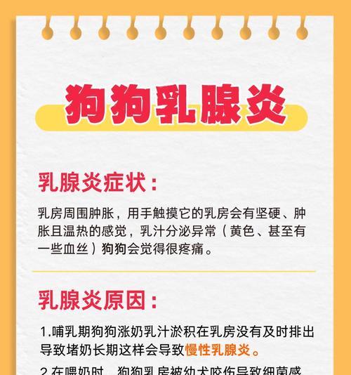小狗胸部肿的常见原因和治疗方案