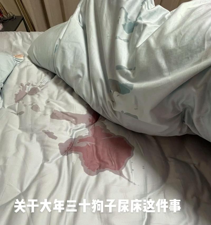 狗狗频繁遗尿的常见原因及应对方法 狗狗频繁遗尿的常见原因及应对方法