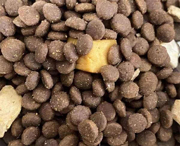 高蛋白冻干猫粮评测:低敏营养改善肠胃 高蛋白冻干猫粮评测:低敏营养改善肠胃