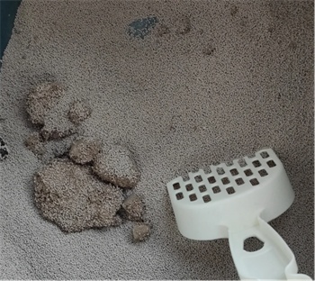 喵山人猫砂性价比评测 结团快除臭好 粉尘需注意