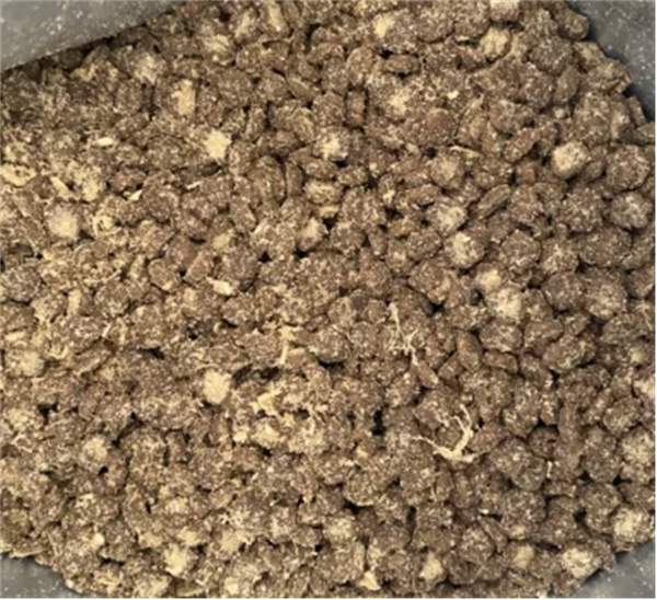 兔肉猫粮营养高适口性佳 佩内特评测 兔肉猫粮营养高适口性佳 佩内特评测