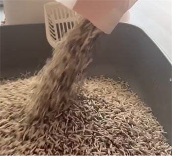 囧宝猫砂性价比测评:结团好但除臭一般,适合预算有限用户 囧宝猫砂性价比测评:结团好但除臭一般,适合预算有限用户