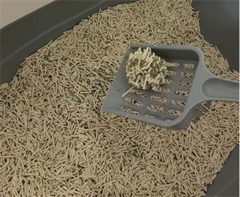 囧宝猫砂性价比测评:结团好但除臭一般,适合预算有限用户 囧宝猫砂性价比测评:结团好但除臭一般,适合预算有限用户