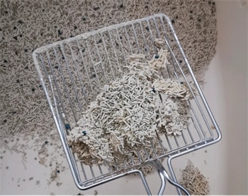 豆腐混合猫砂测评:结团好但除臭差 豆腐混合猫砂测评:结团好但除臭差
